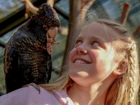 Cockatoo Experience