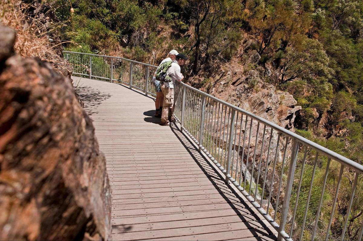 cleland conservation park