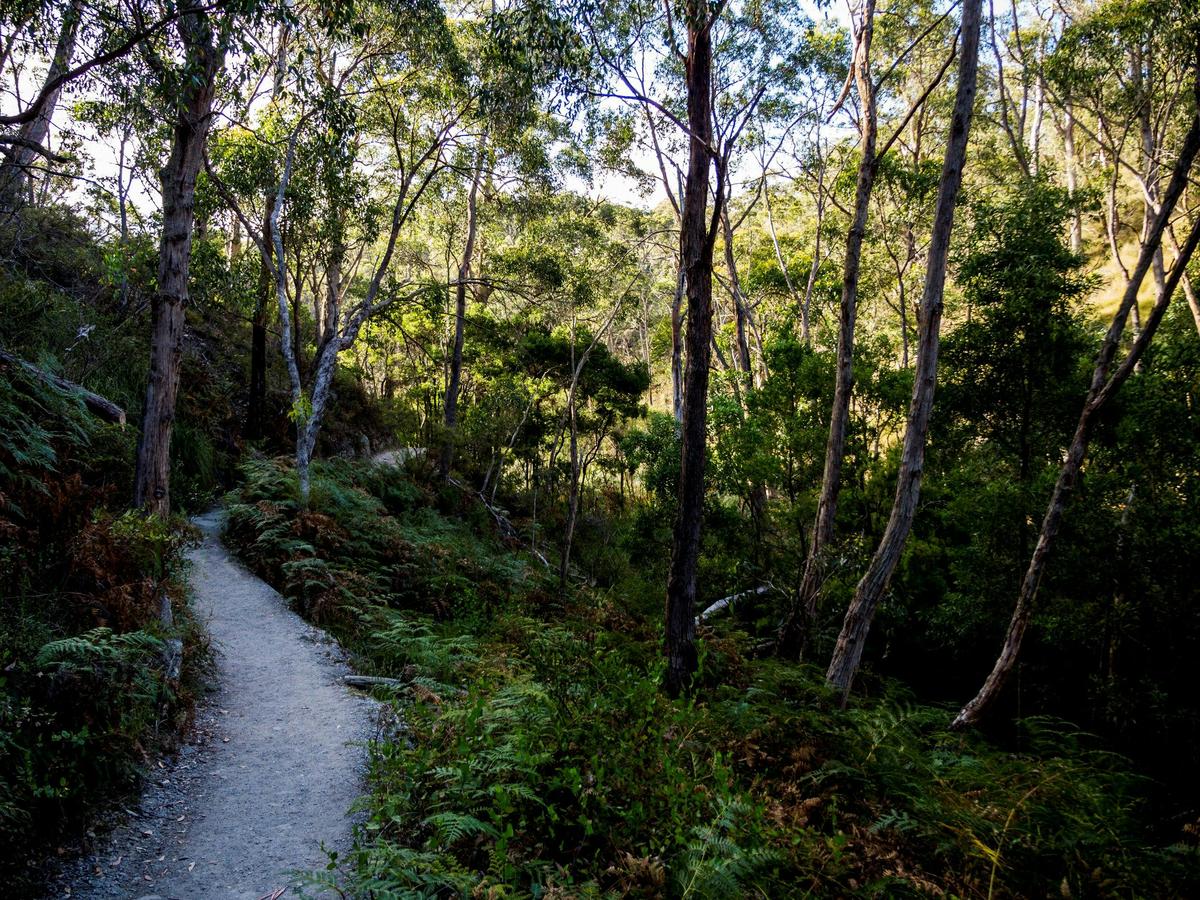 cleland conservation park