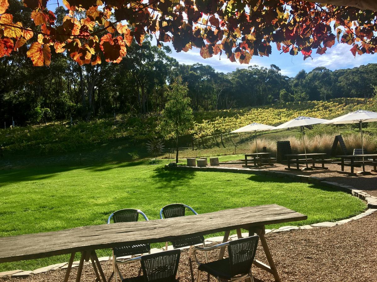 Autumn at our Cellar Door