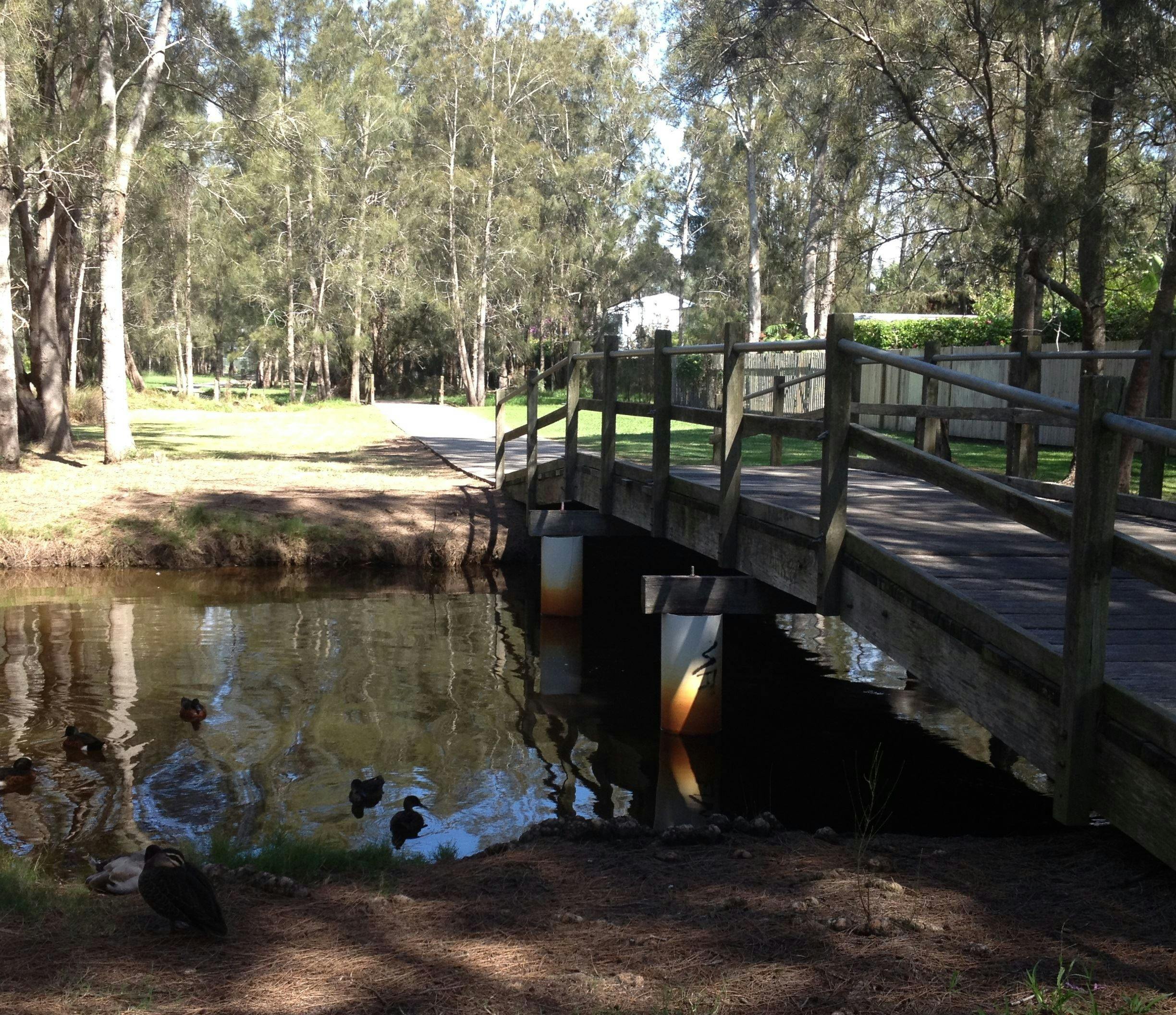 Cycleway Berkeley Vale