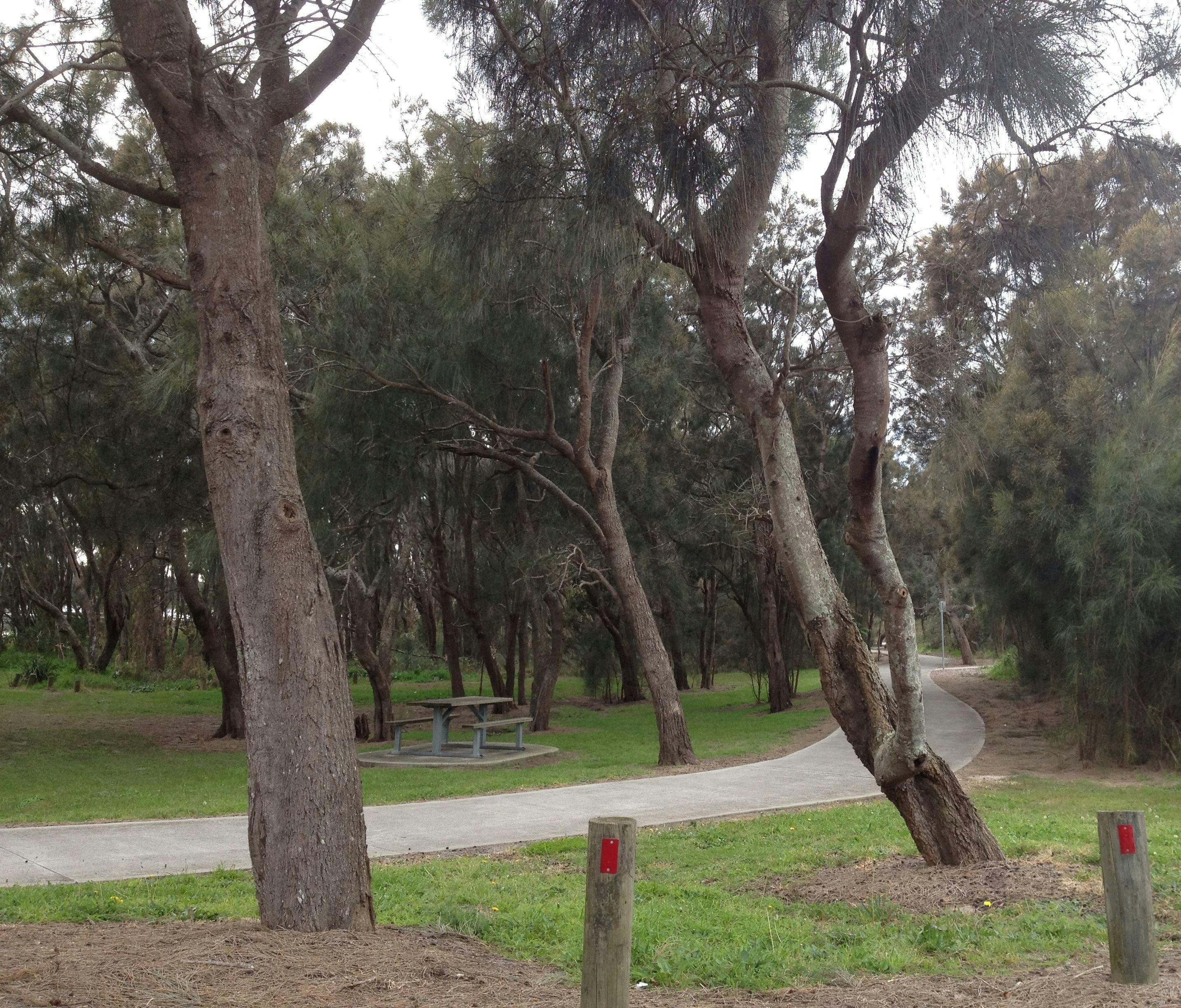 Cycleway from North Entrance to Magenta