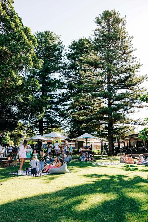 CLINK at Tintara