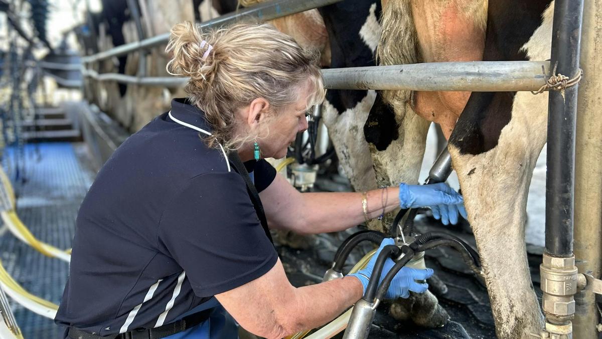 Milking Memories