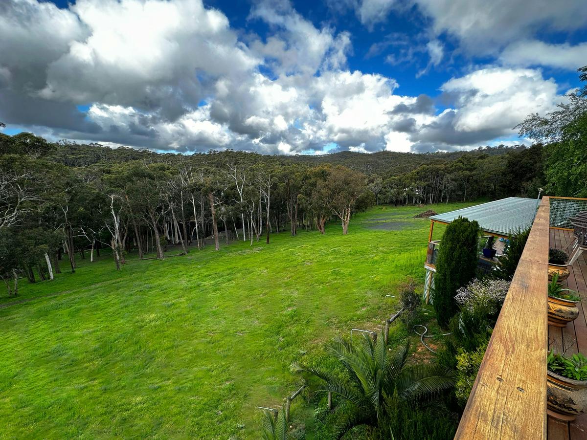 The view from the back deck at Funday Farm Adelaide Hills, looking over 28 acres of fore