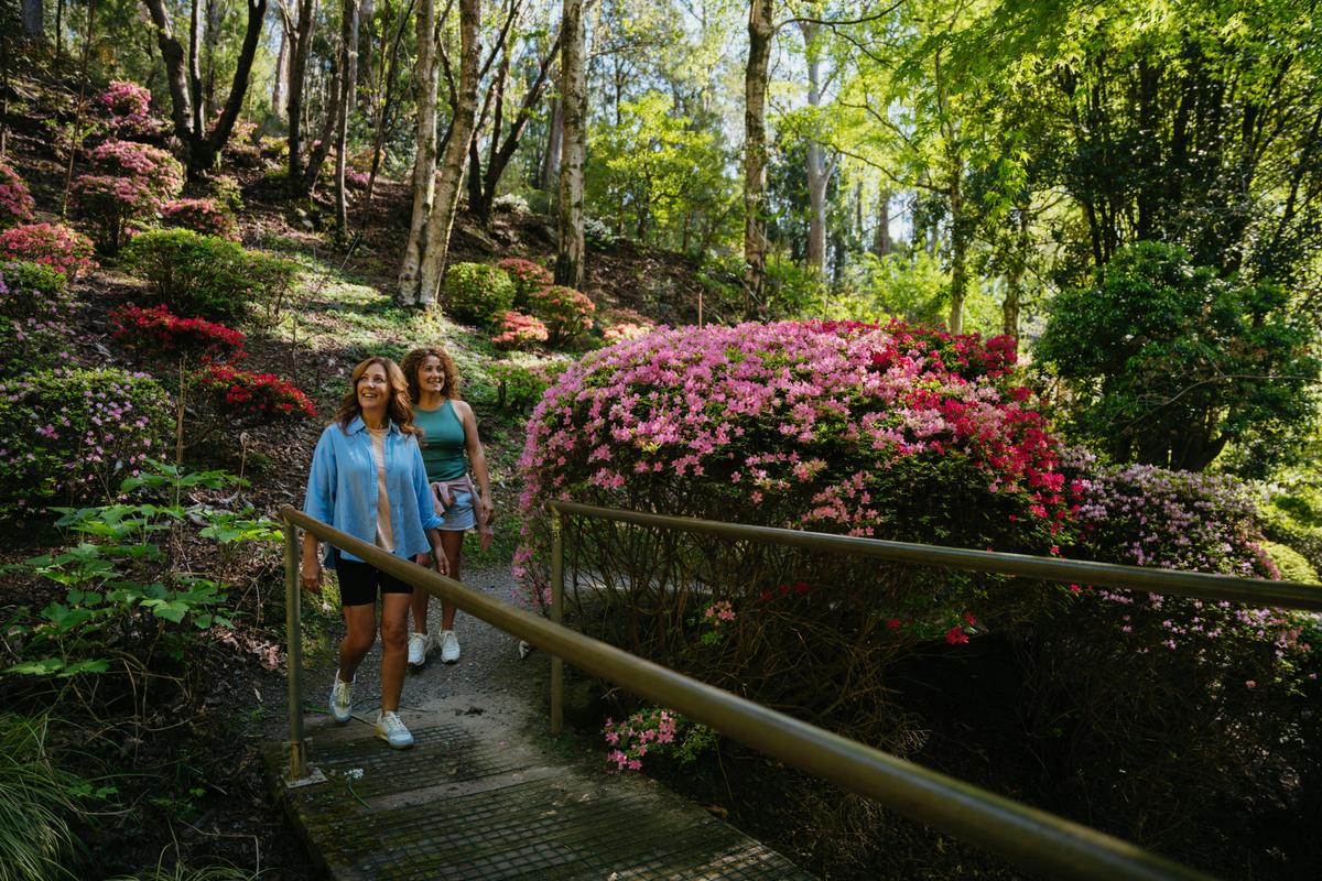 Mt Lofty Botanic Gardens