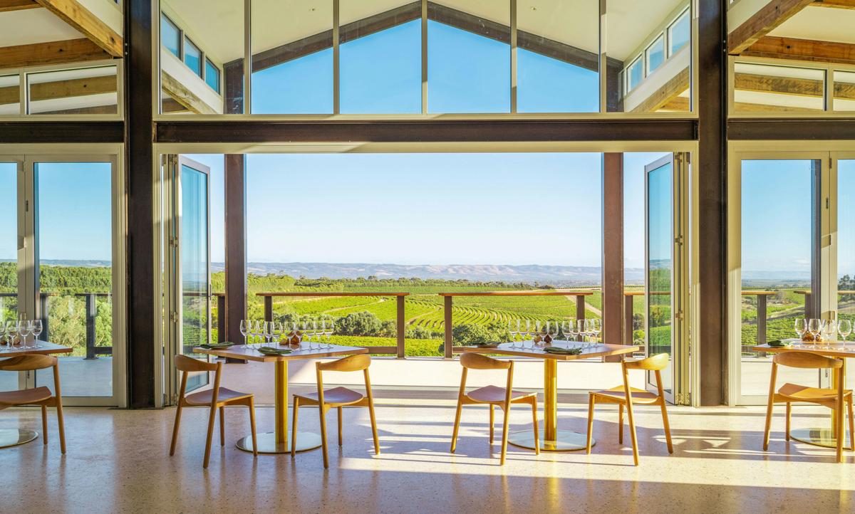 Dandelion Vineyards Wonder Room views