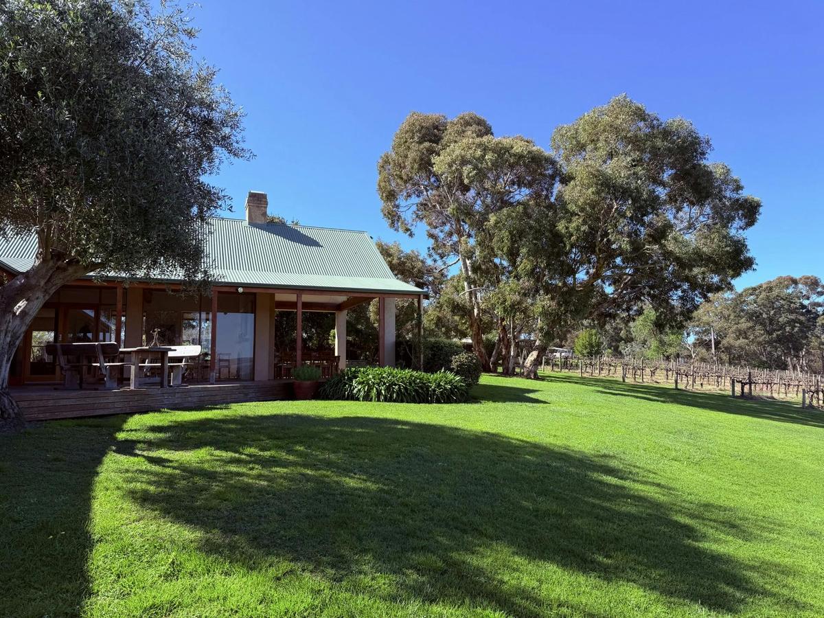 Cellar Door