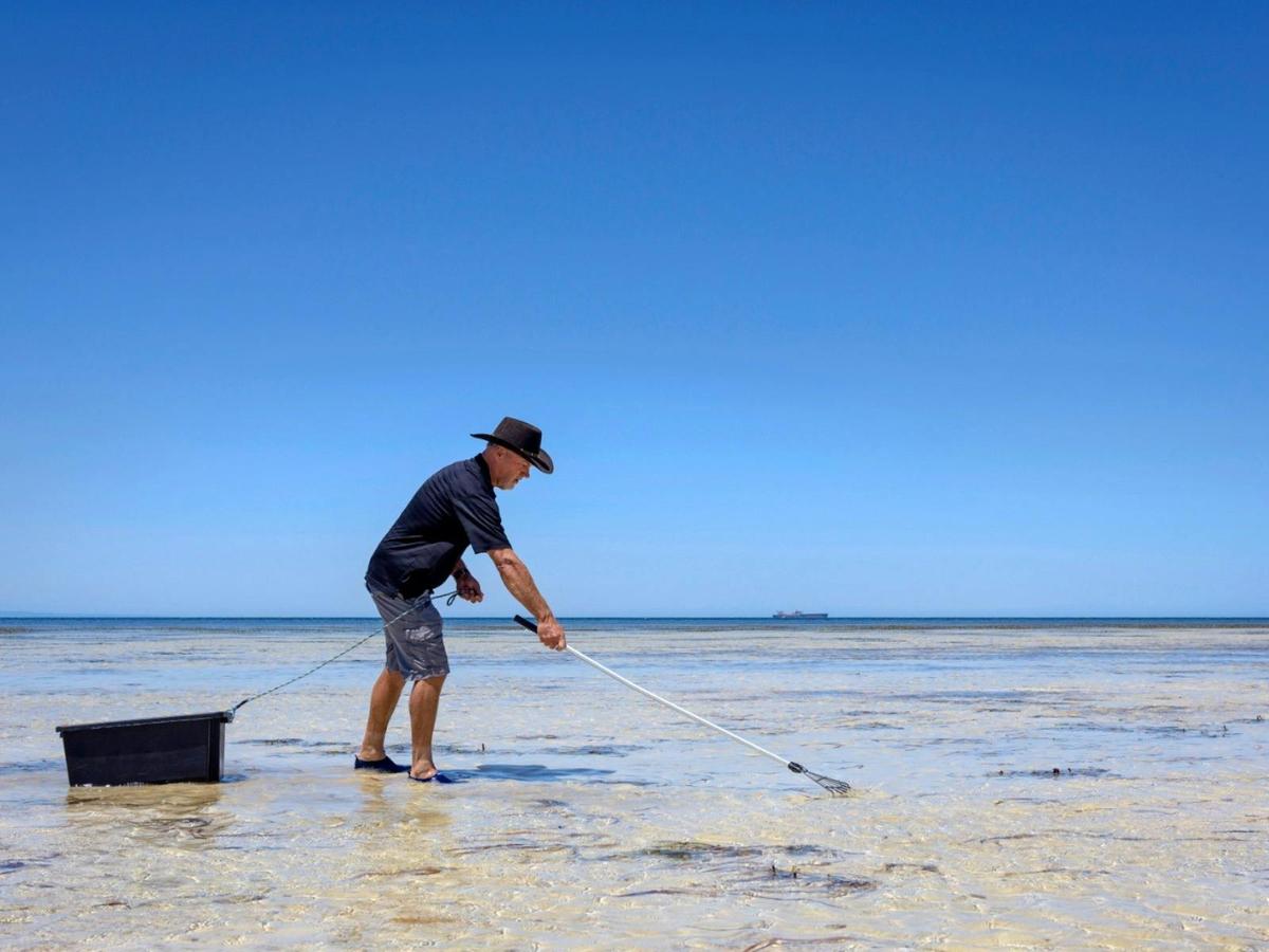 Discovery Parks - Whyalla Foreshore