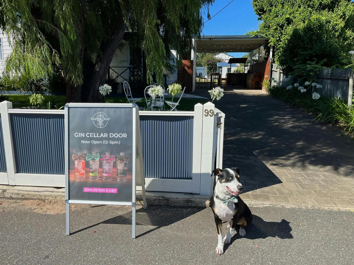 Walk right in to the garden and alfresco bar.  Even the dogs are dapper at Dapper Chap Cellar door.