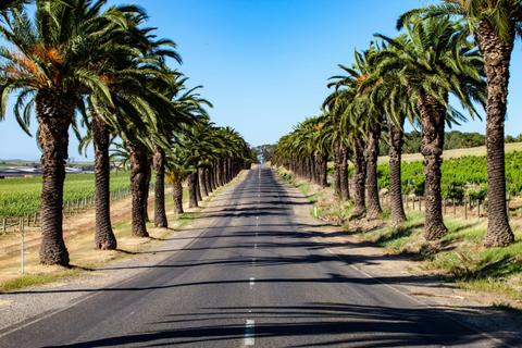 Barossa Valley Highlights Private Shore Tour