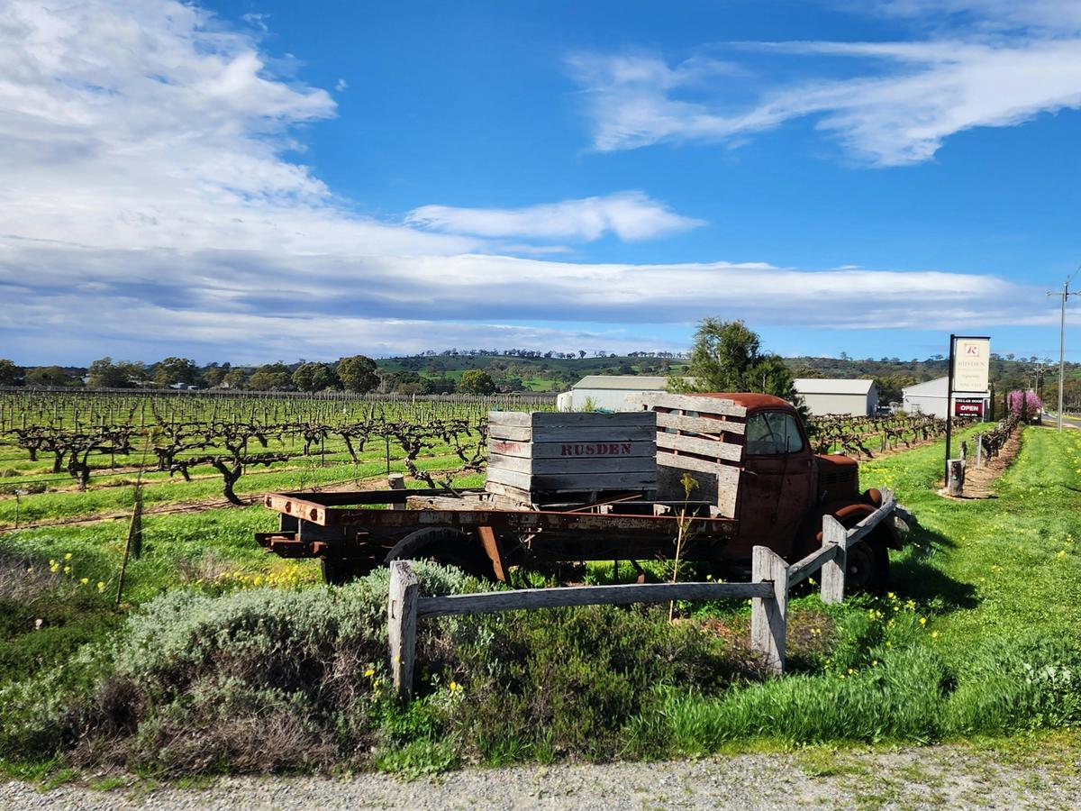Private Barossa Sightseeing, Food and Wine Day Tour