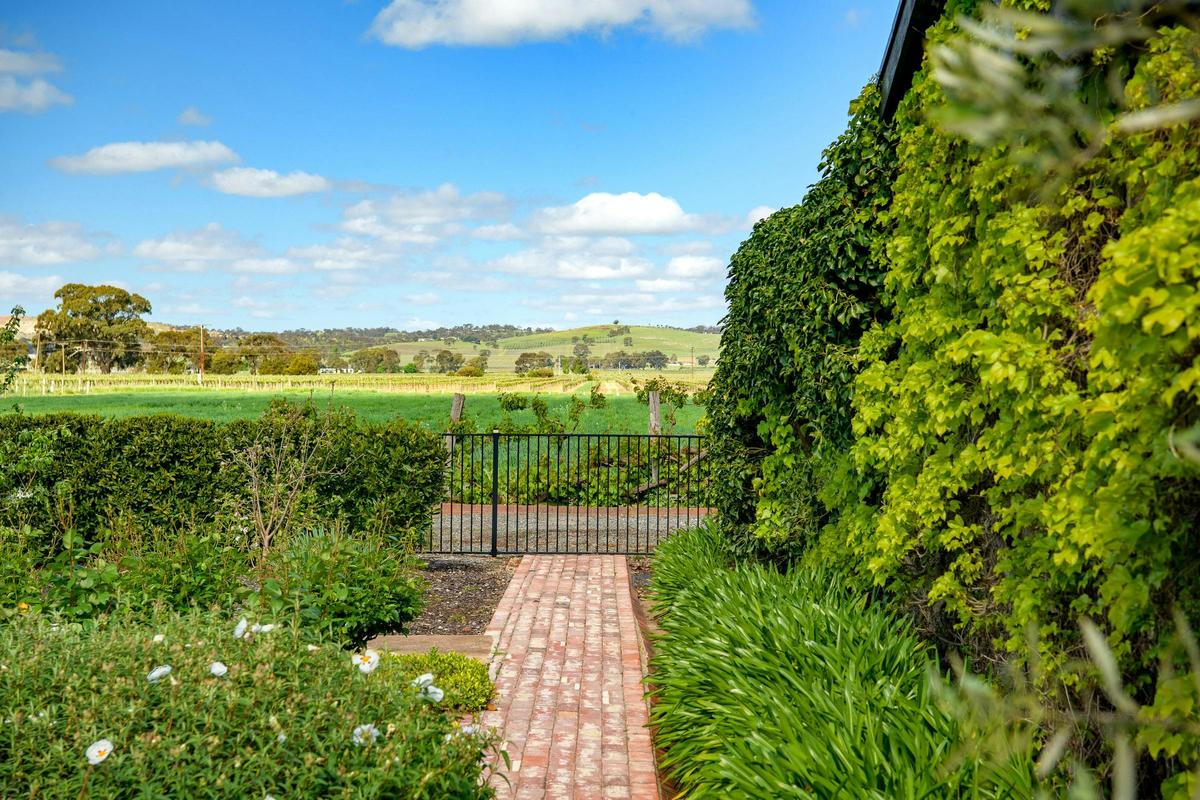 Elderton Cellar Door Garden