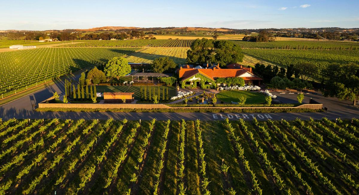 Elderton Cellar Door