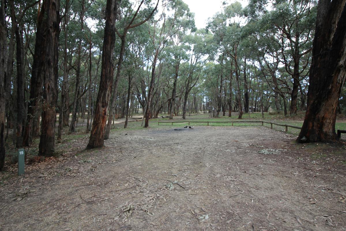 Stringybark Campground