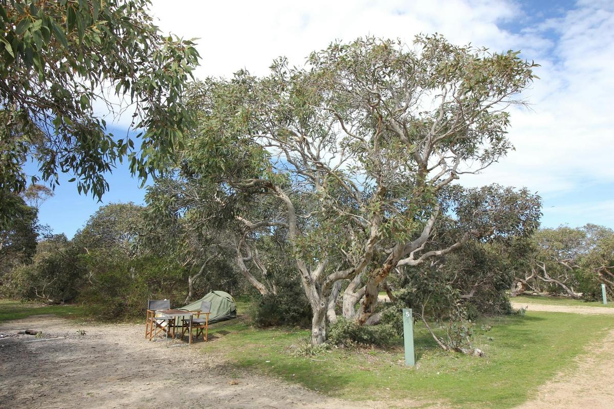Tapanappa Campground