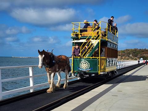 Discover Adelaide Tours - Fleurieu Peninsula