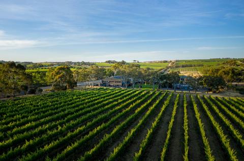 Private McLaren Vale Wine and Brew Tour