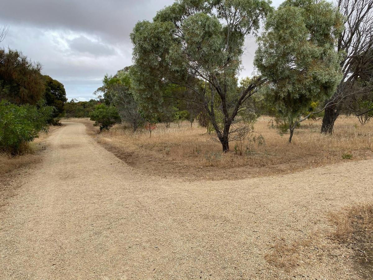 Path Split – Edithburgh Flora Park