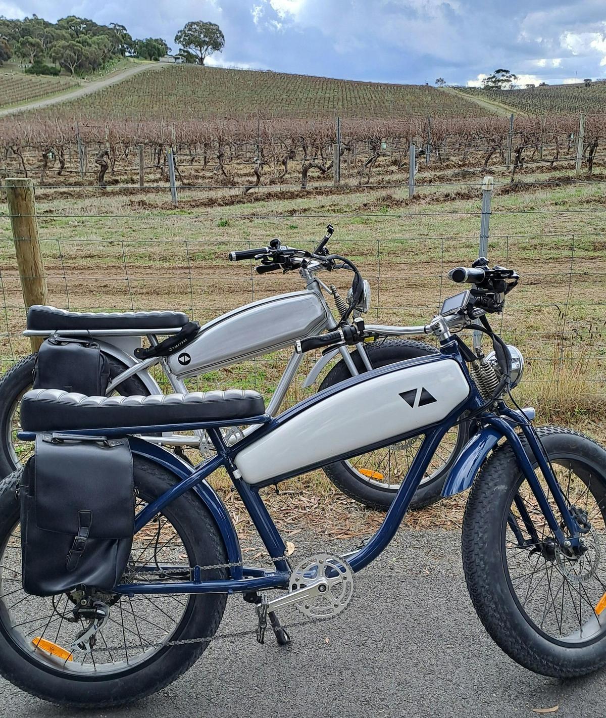 4 Day Ebike Clare Valley Cup & Riesling Trail