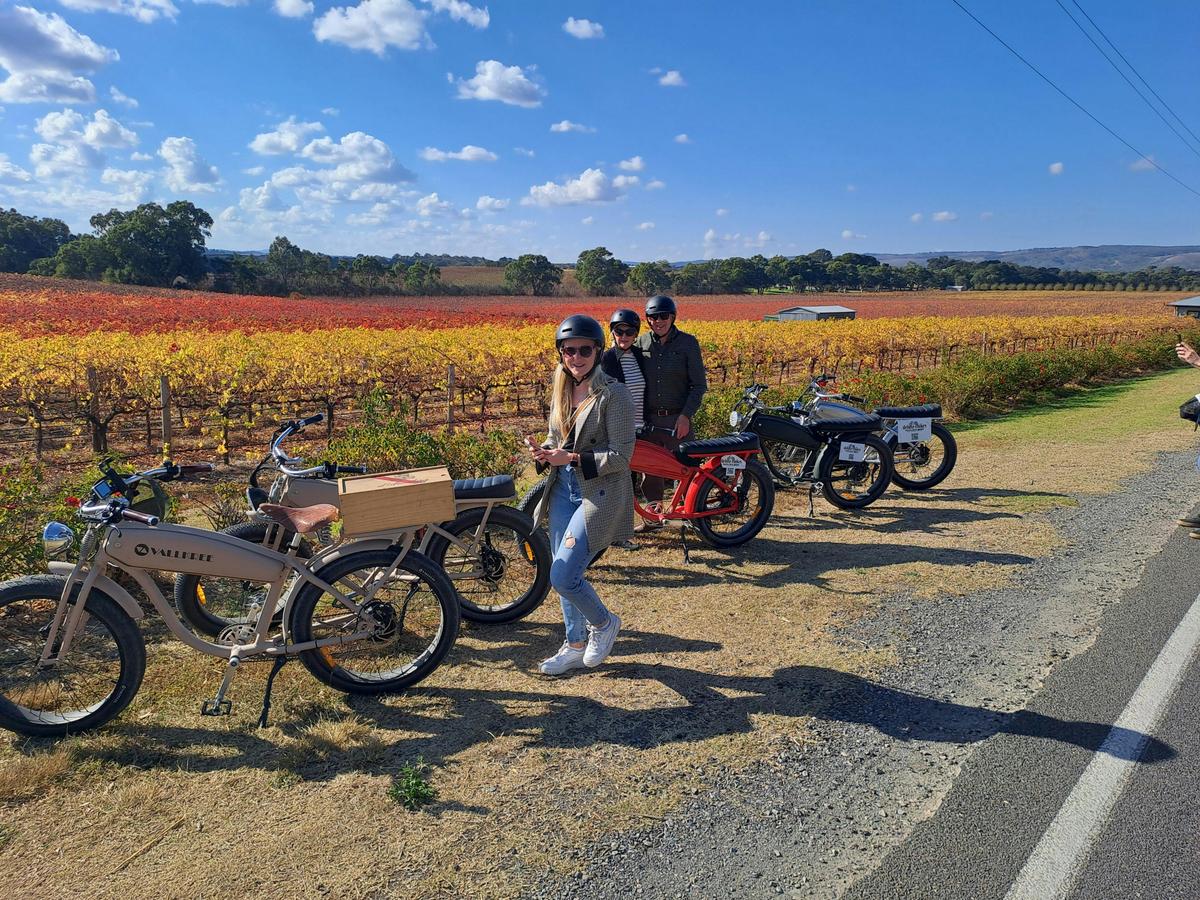 McLaren Vale Half Day Ebike Hire