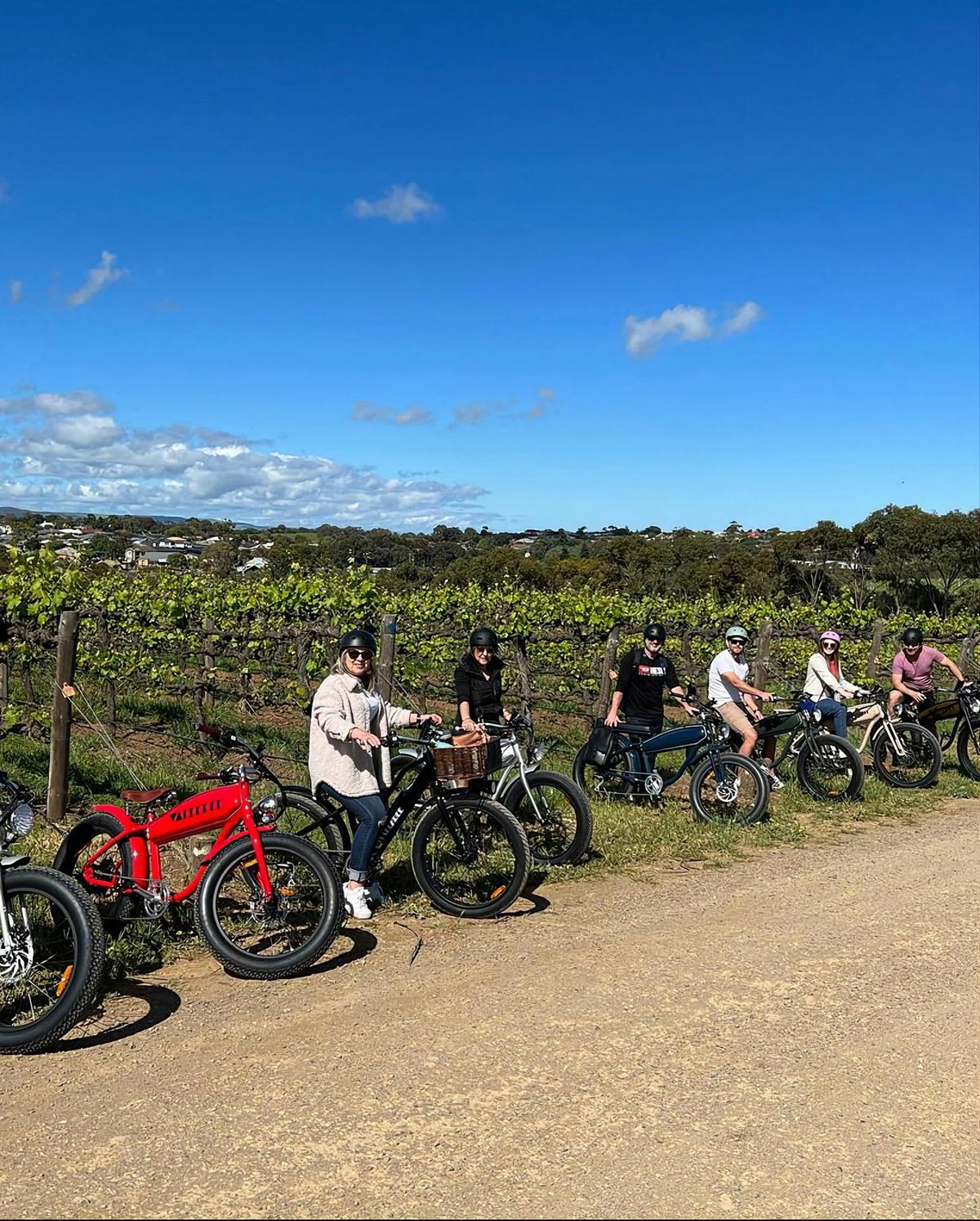 McLaren Vale By Ebike Winery Tour