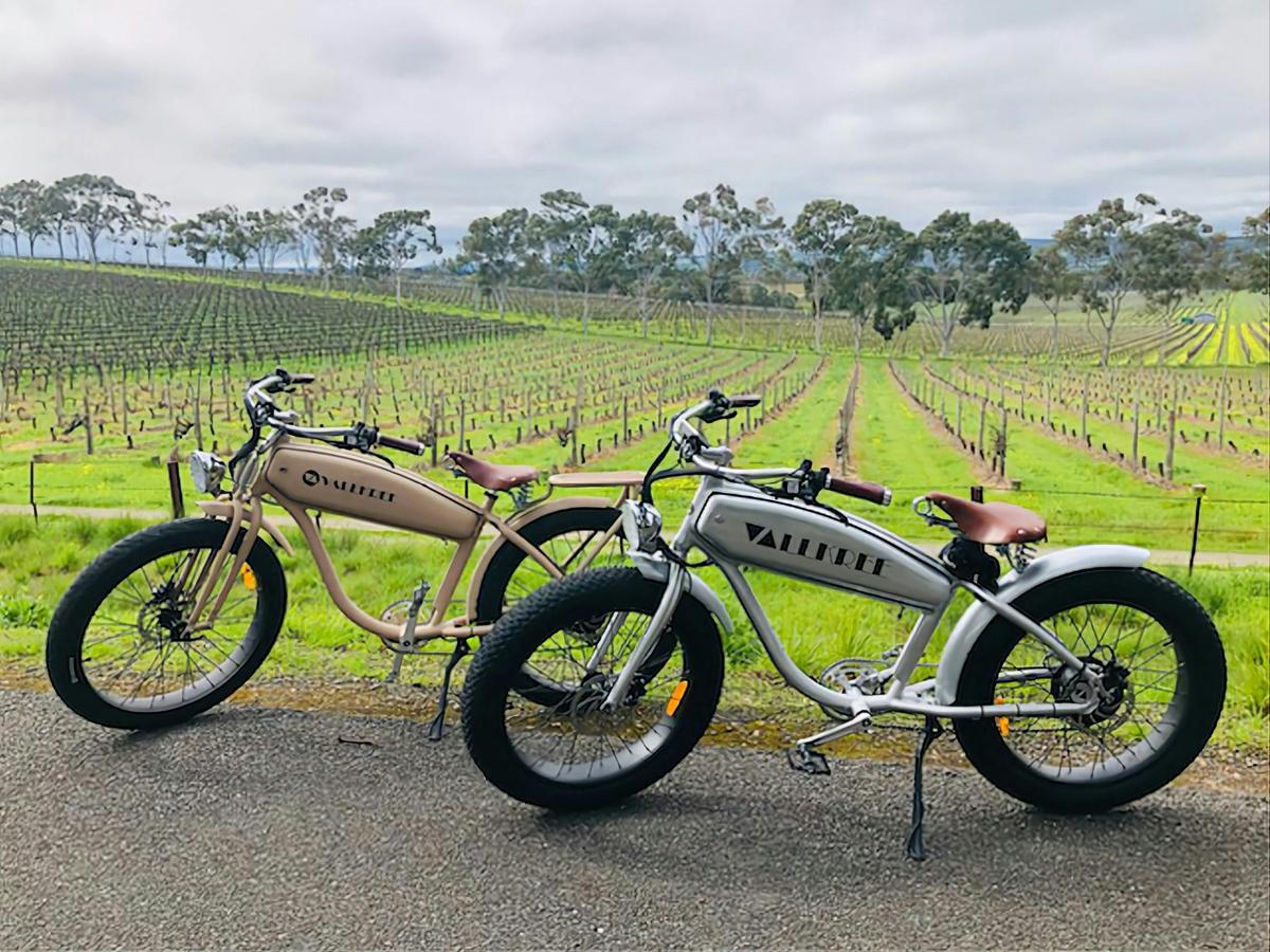 Mclaren Vale Shiraz Trail Tour