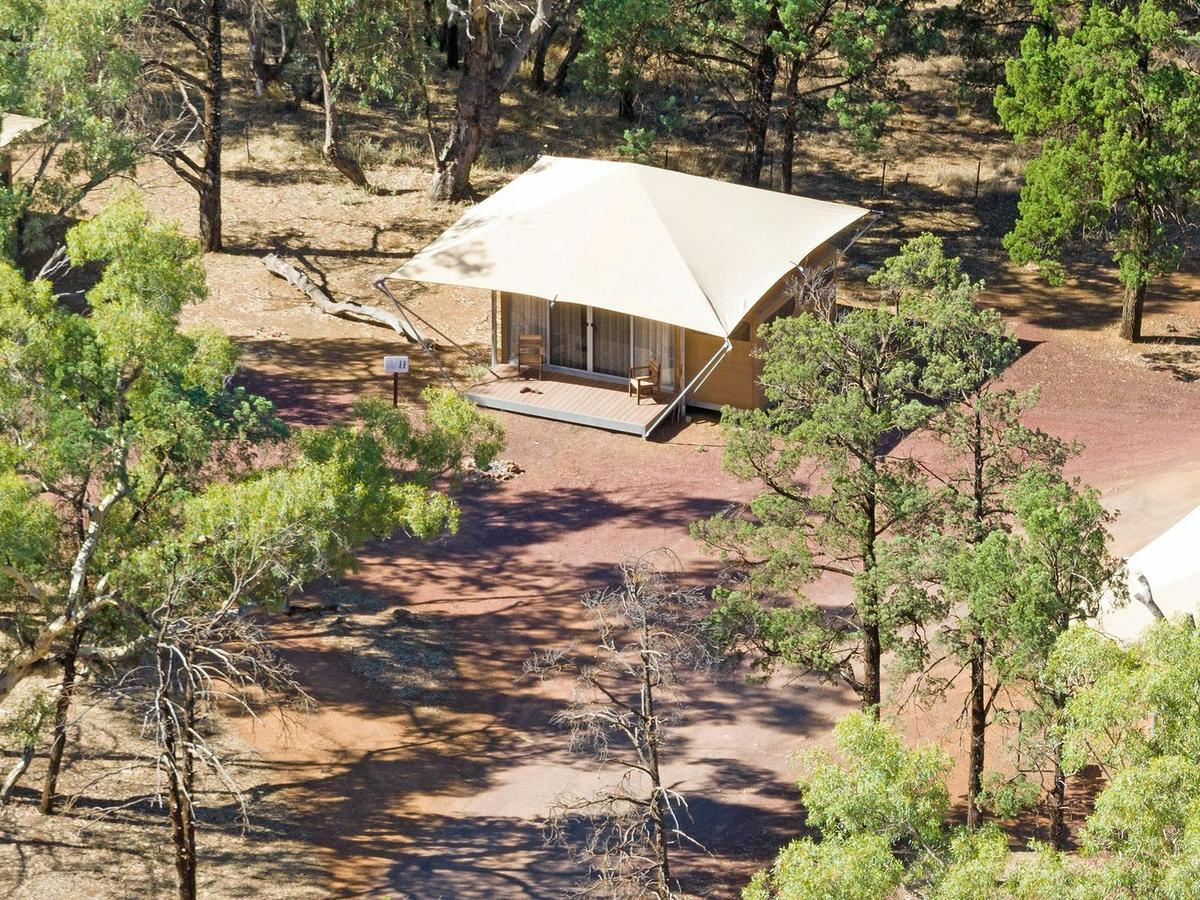 Ikara Glamping Safari Tent