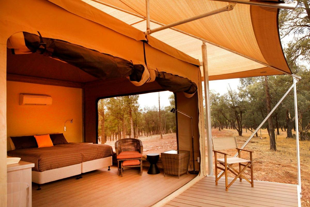 Ikara Safari Camp