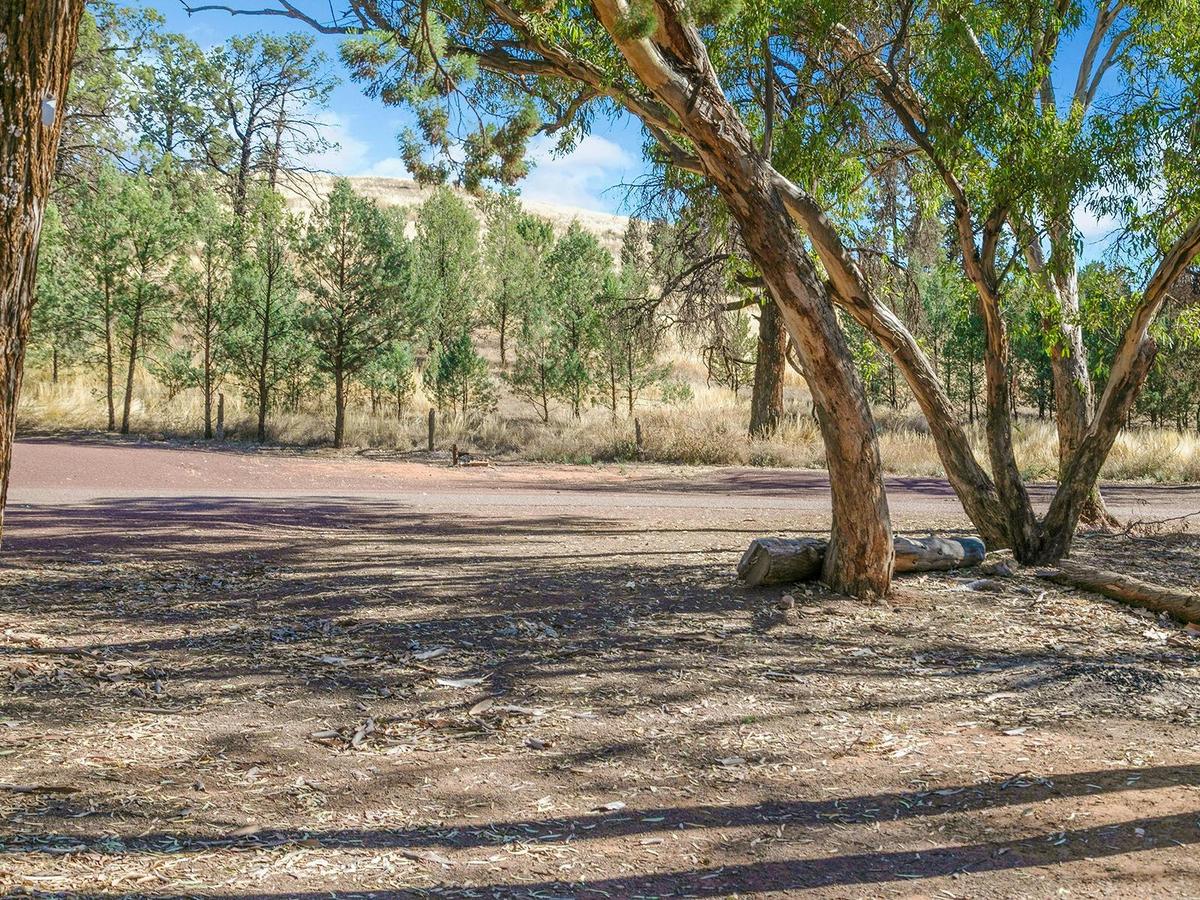 Unpowered Campsite