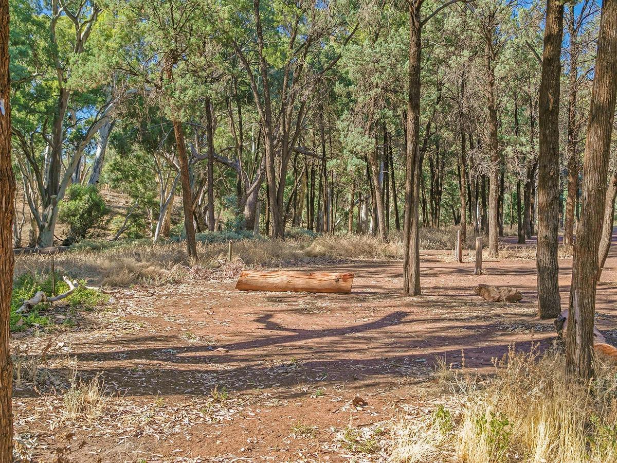 Unpowered Campsite
