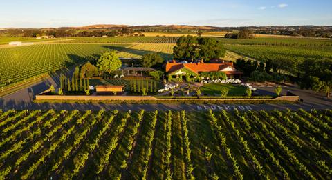 Elderton Wines Cellar Door