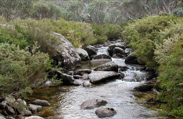 Thredbo River Track