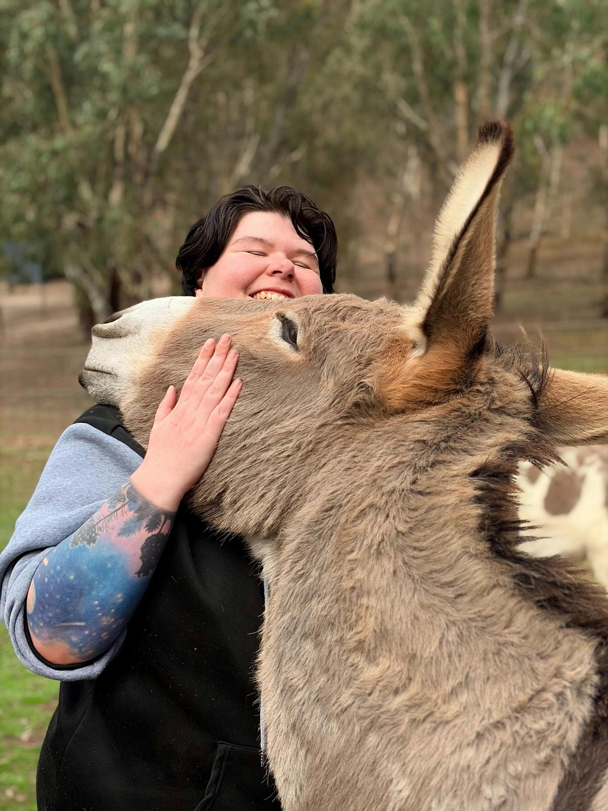 Donkey Discovery experiences