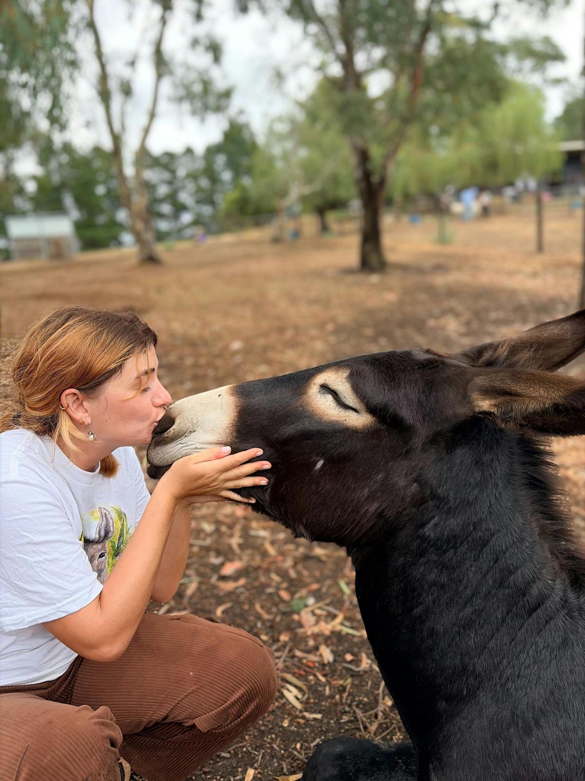 Donkey Discovery experiences