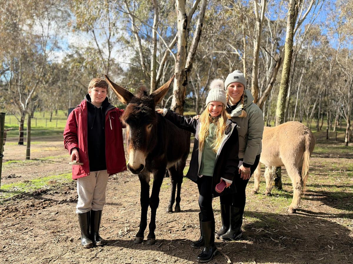 Two-Hour Donkey Discovery Experience