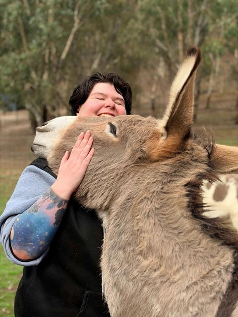 Donkey Discovery Experiences