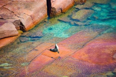 Streaky Bay & Eyre Peninsula