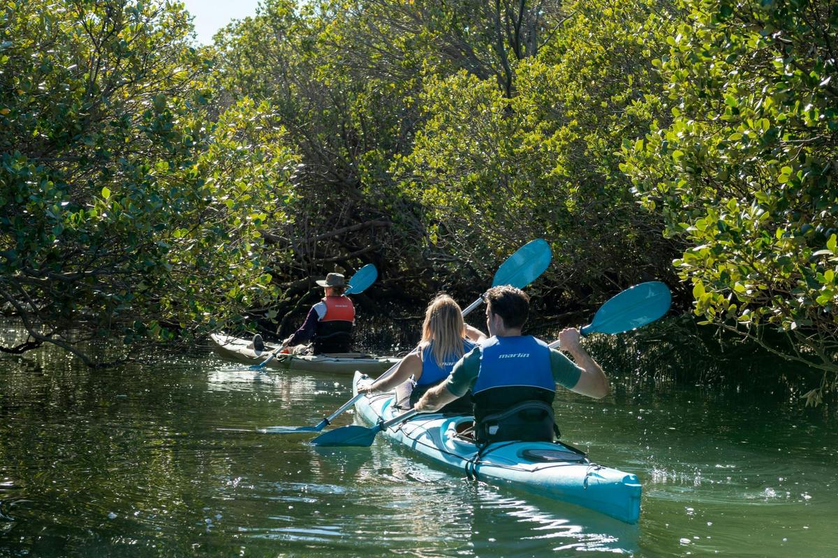 Dolphin Sanctuary Eco Tour