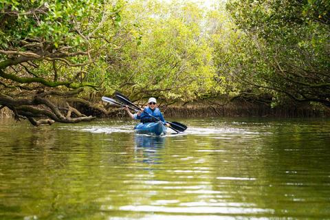 Dolphin Sanctuary Kayak Tours