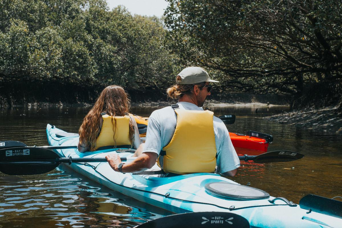 Dolphin Sanctuary Eco Tour