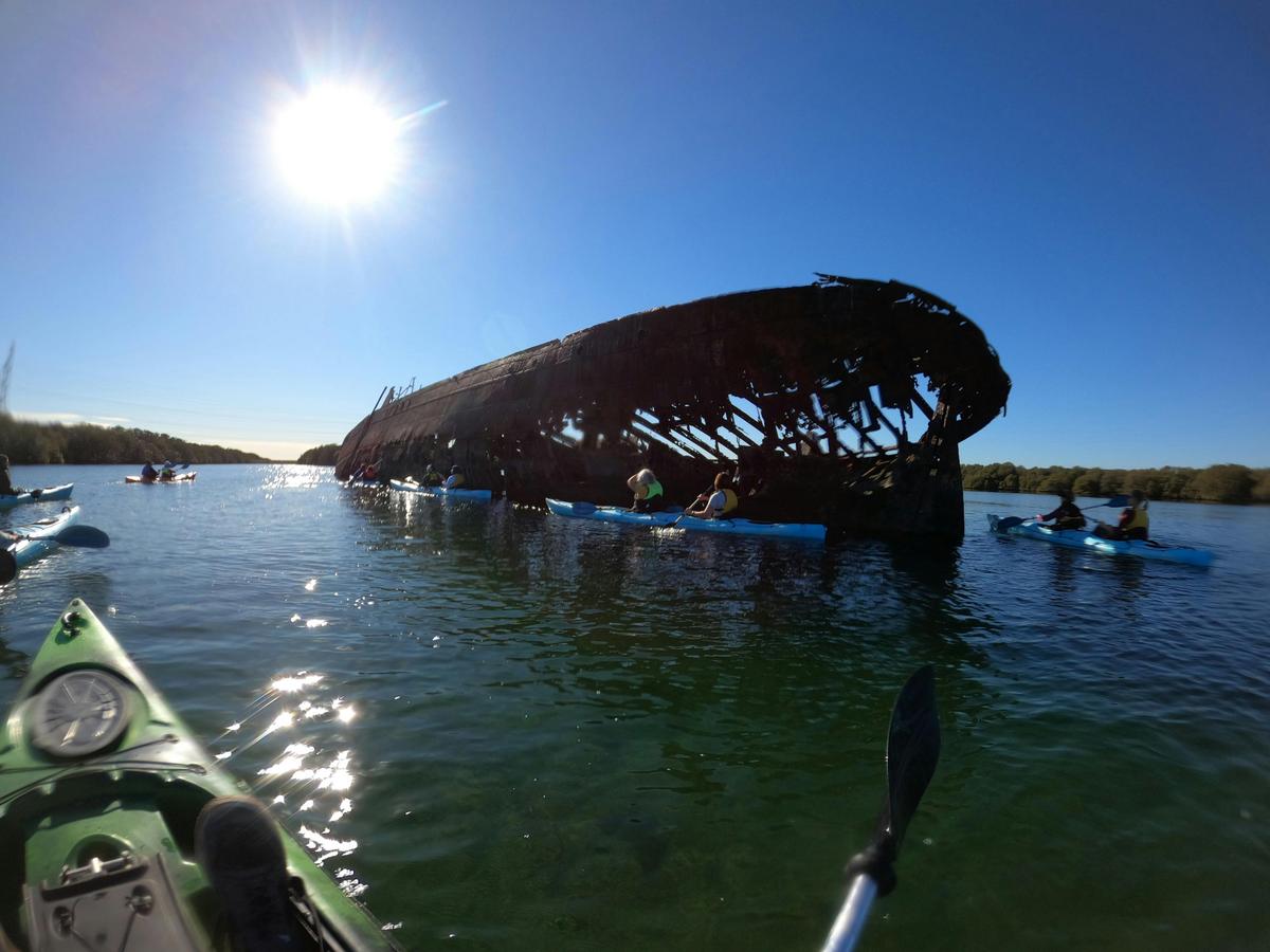 Dolphin Sanctuary Eco Tour