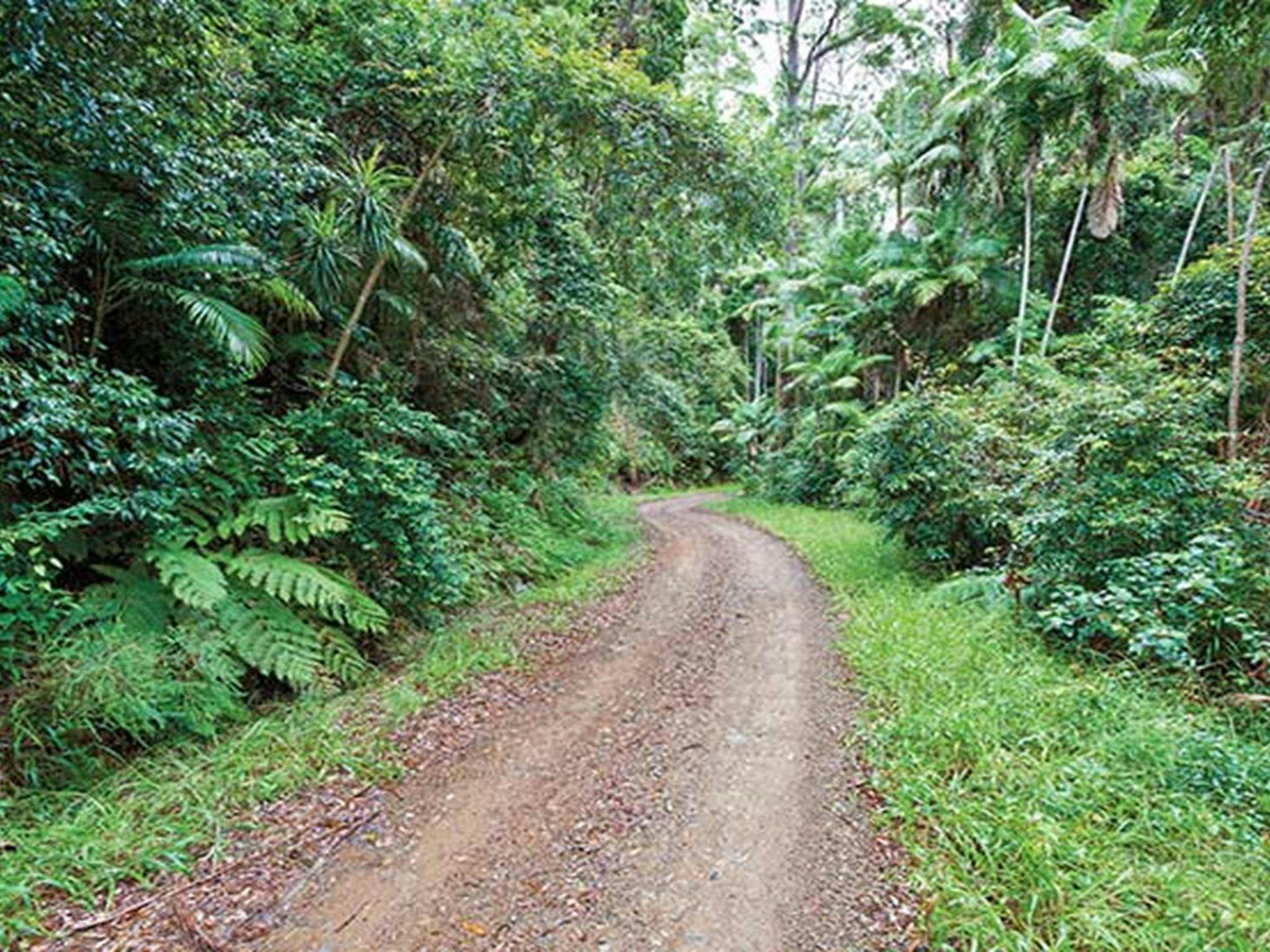 End Peak walking track, Ulidarra National Park. Photo: Robert Cleary &copy; DPIE