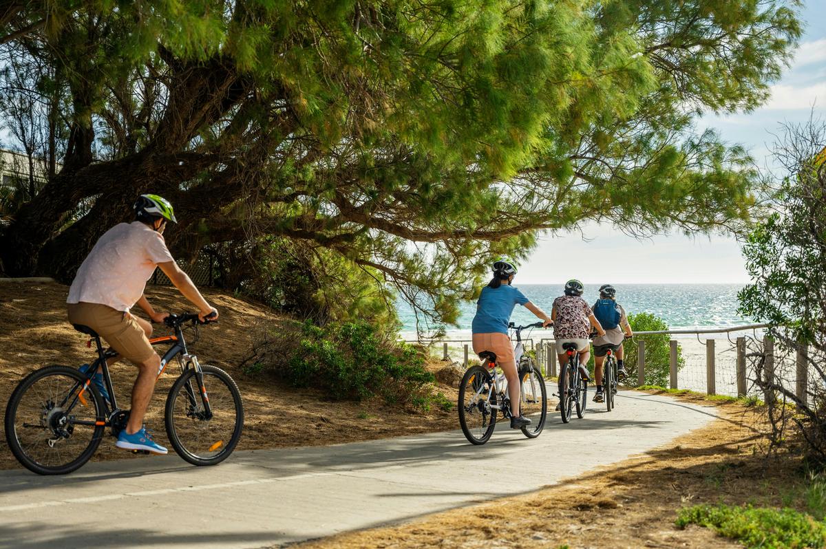 City to Sea Bike and Kayak Safari