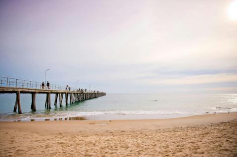 Fleurieu Snorkel and Beer Safari