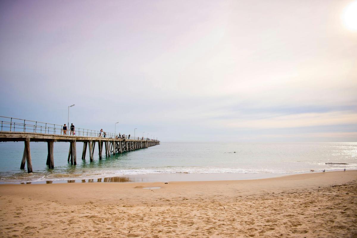 Fleurieu Snorkel and Beer Safari