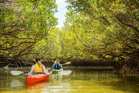 City to Sea Bike and Kayak Safari