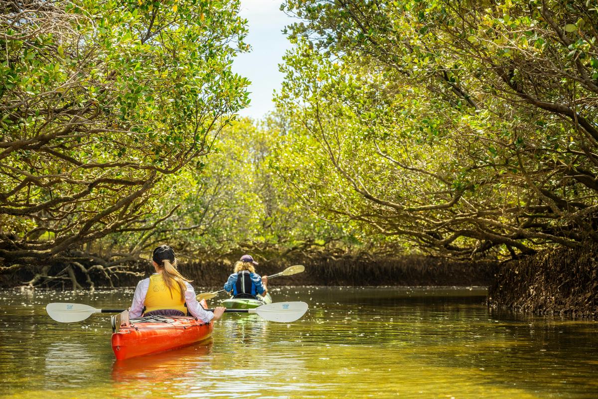 City to Sea Bike and Kayak Safari