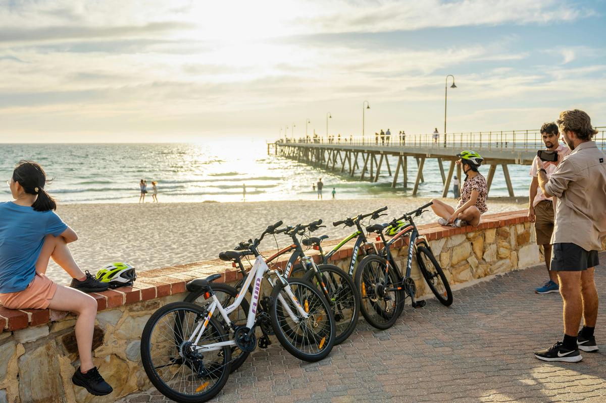 City to Sea Bike and Kayak Safari