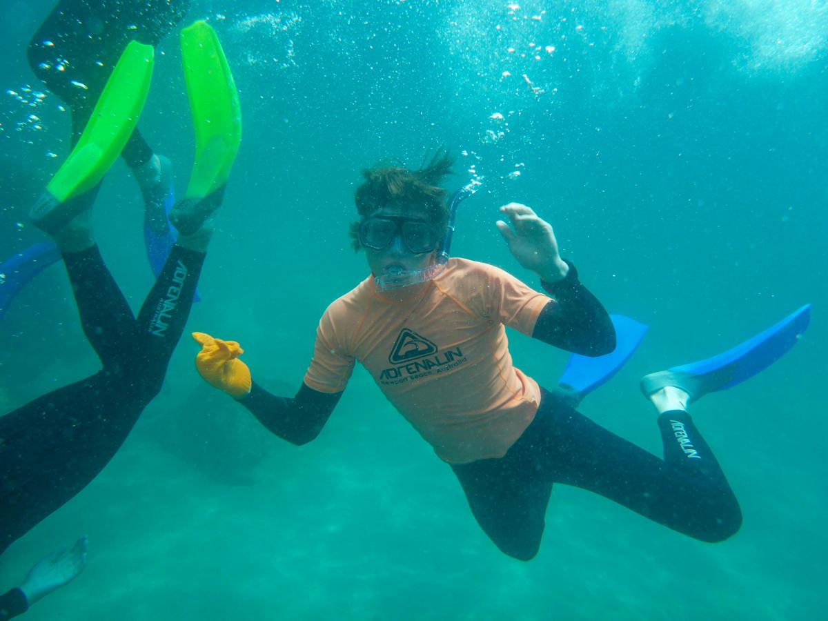 Fleurieu Snorkel and Beer Safari
